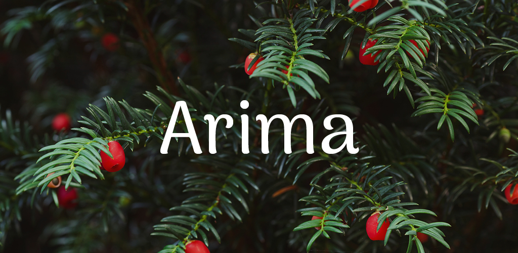 Free font for Christmas - Arima font