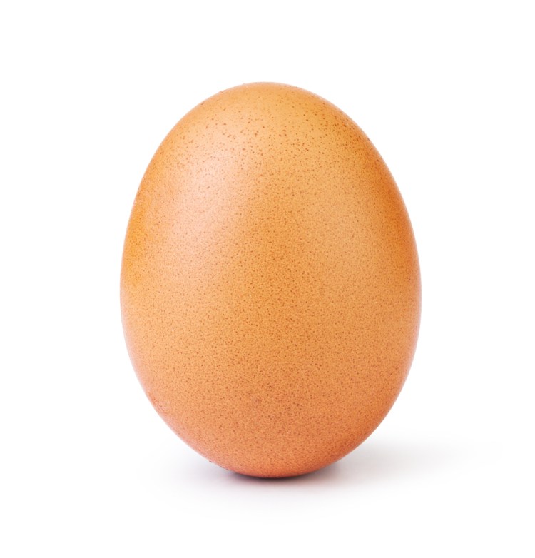 Der Fotograf hinter dem weltweit erfolgreichsten Hühner-Ei