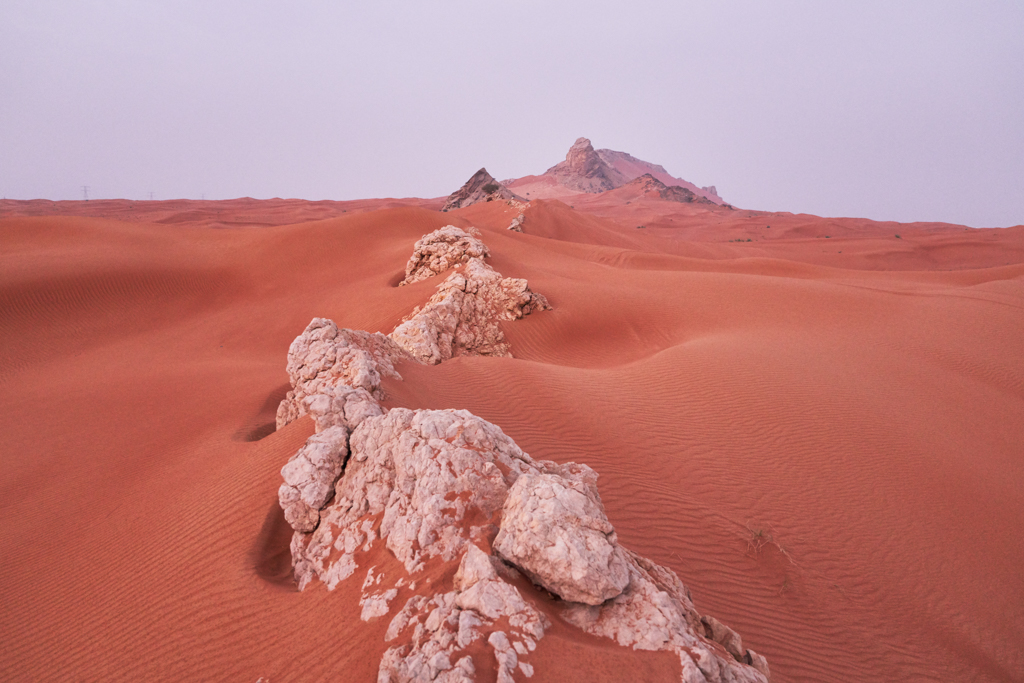 February Fresh - Desert UAE
