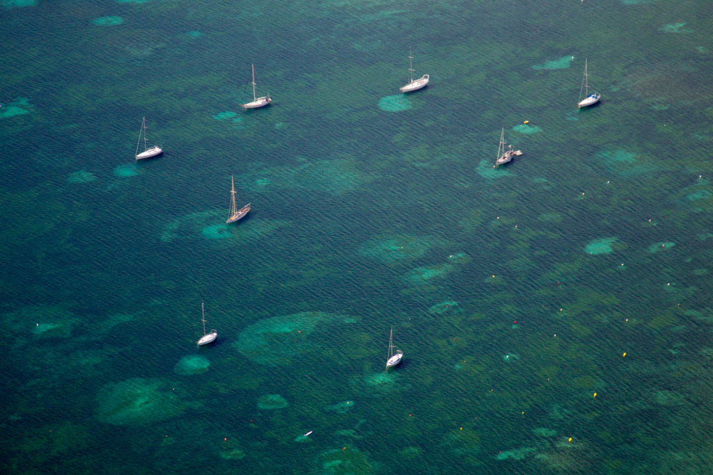 February Fresh - Sailboats Drone