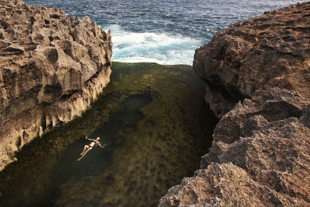 February Fresh - Lagoon Swimming