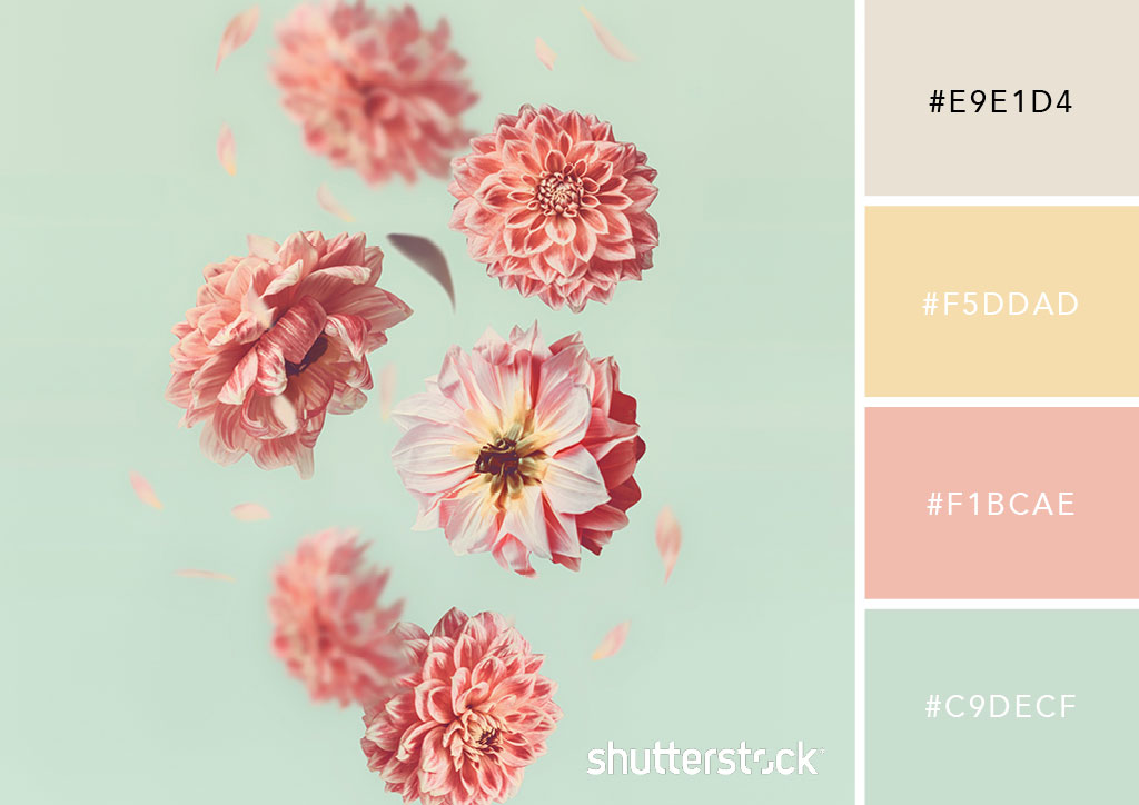 20 Pastel Color Palettes to Get the Rococo Art Look — Fallen Petals