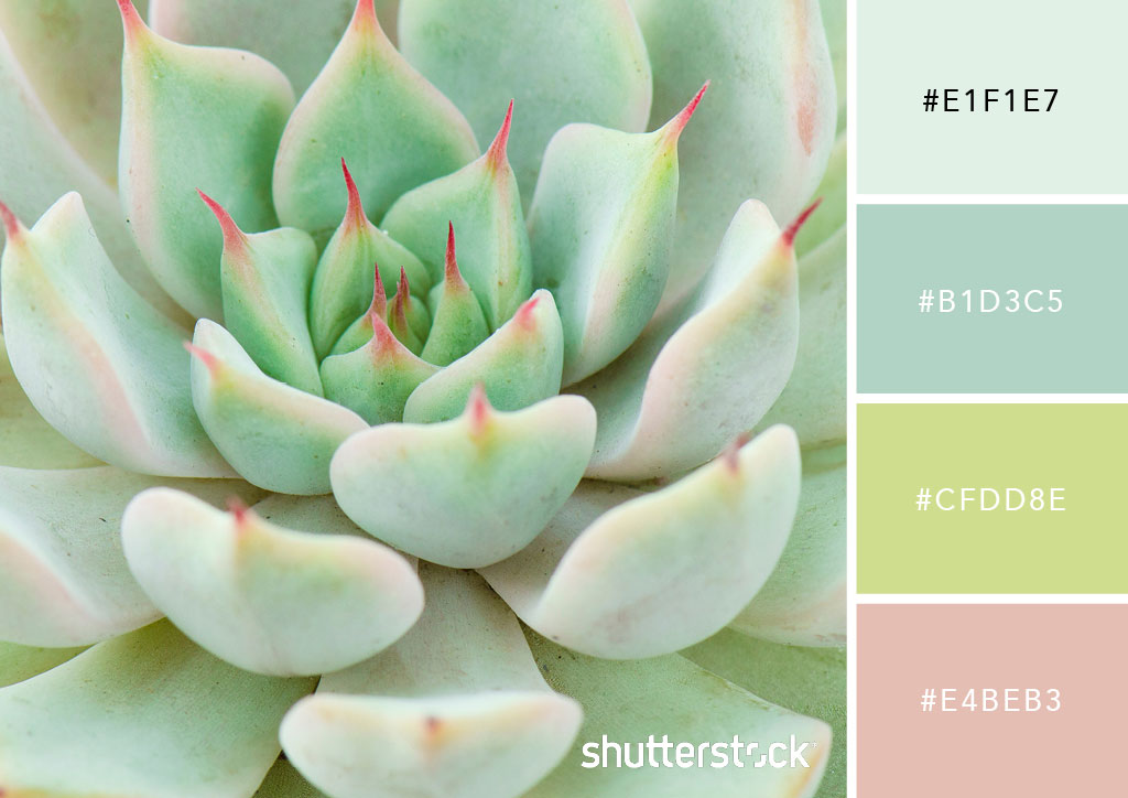 20 Pastel Color Palettes to Get the Rococo Art Look