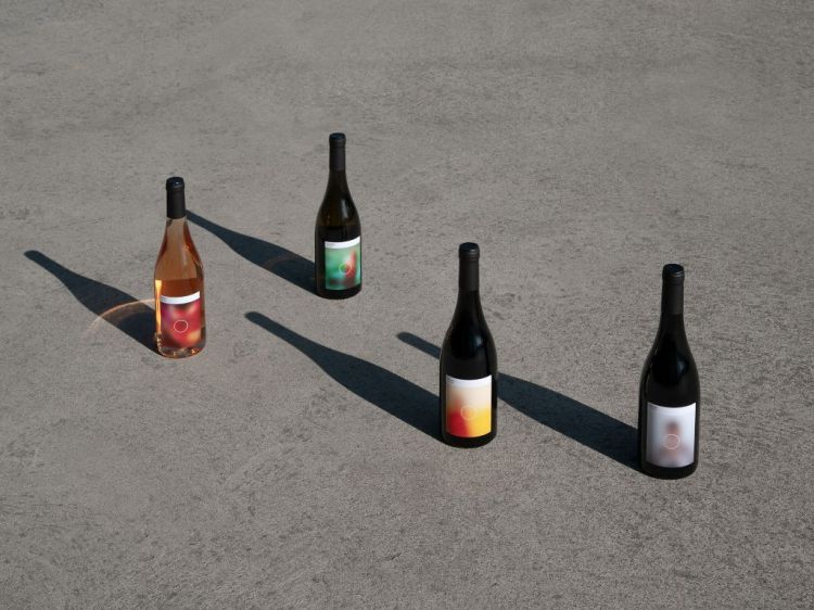 Four different genres of wine bottles with colorful labels on cement background