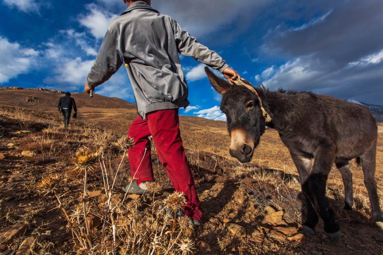 From the Himalayas: A Photographer’s Journey to Complete Remoteness — An Endless Array of Subjects