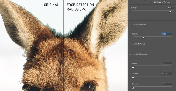 How to Smooth Edges in Photoshop After Making a Selection — Original Image vs Edge Detection