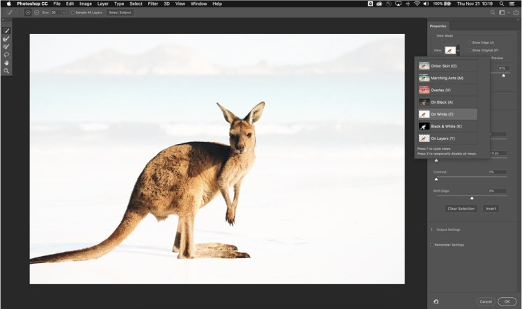 How to Smooth Edges in Photoshop After Making a Selection — Select and Mask