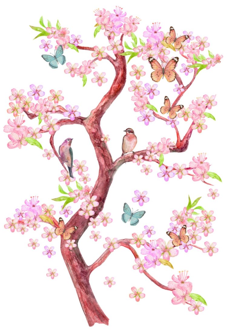 how to draw a realistic cherry blossom tree