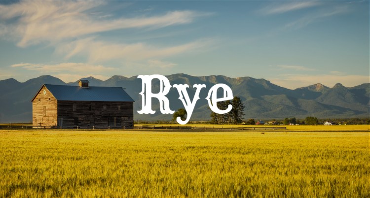 Yeehaw! 15 Free Western Fonts for the Cowboy in All of Us — Rye