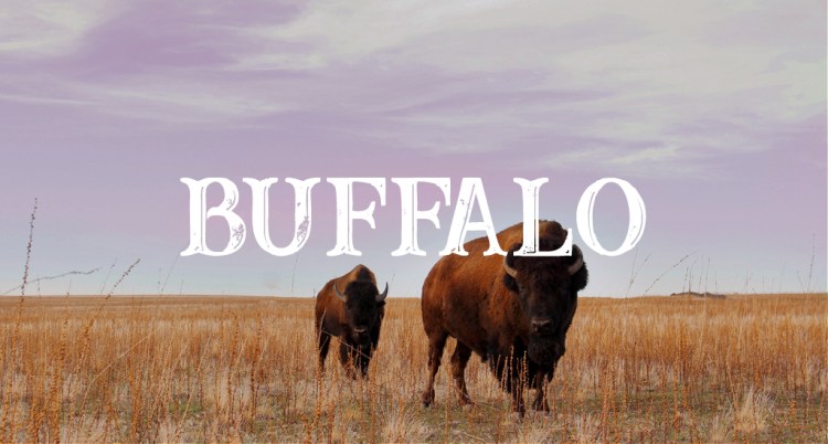 Yeehaw! 15 Free Western Fonts for the Cowboy in All of Us — Buffalo