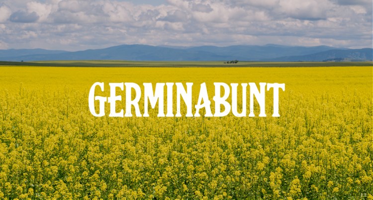 Yeehaw! 15 Free Western Fonts for the Cowboy in All of Us — Germinabunt