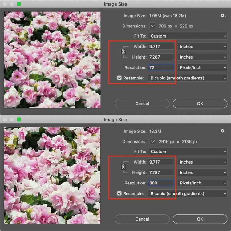 How to Resize an Image in Photoshop Without Losing Quality — The Relationship Between Resolution and Dimension