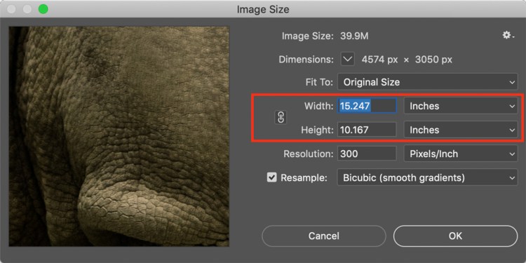 How to Resize an Image in Photoshop Without Losing Quality — Sync Your Width and Height