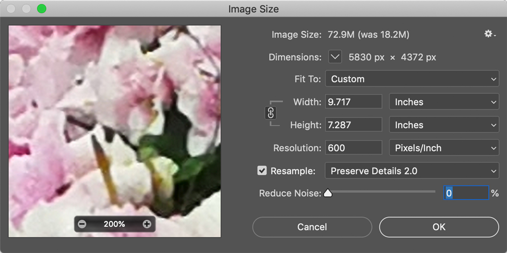 how to use perfect resize in photoshop windows