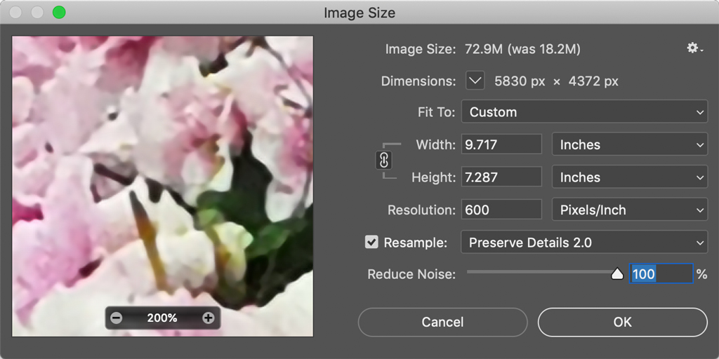 best image resizer software without losing quality