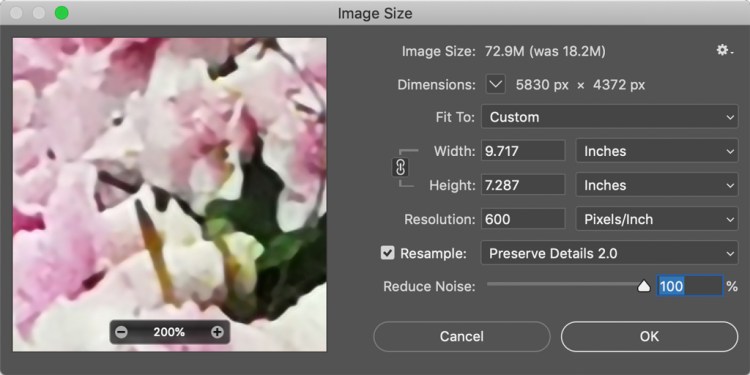 How to Resize an Image in Photoshop Without Losing Quality — Noise Reduction Set Too High Blurs Details