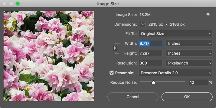 How to Resize an Image in Photoshop Without Losing Quality — Select Preserve Details 2.0