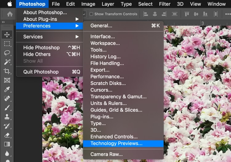 How to Resize an Image in Photoshop Without Losing Quality — Enable Preserve Details 2.0