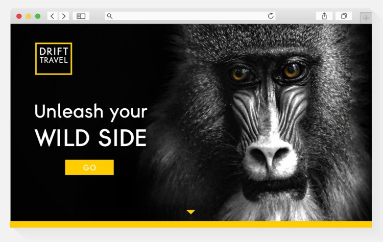 Website design with black background, yellow accents, and a closeup photo of a baboon