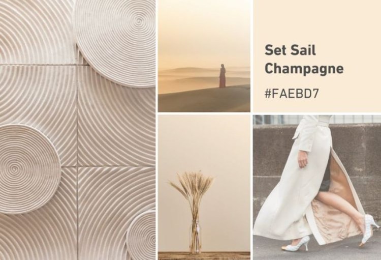 Champagne Mood Board