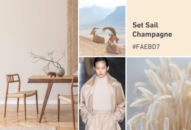 Set Sail Champagne Mood Board