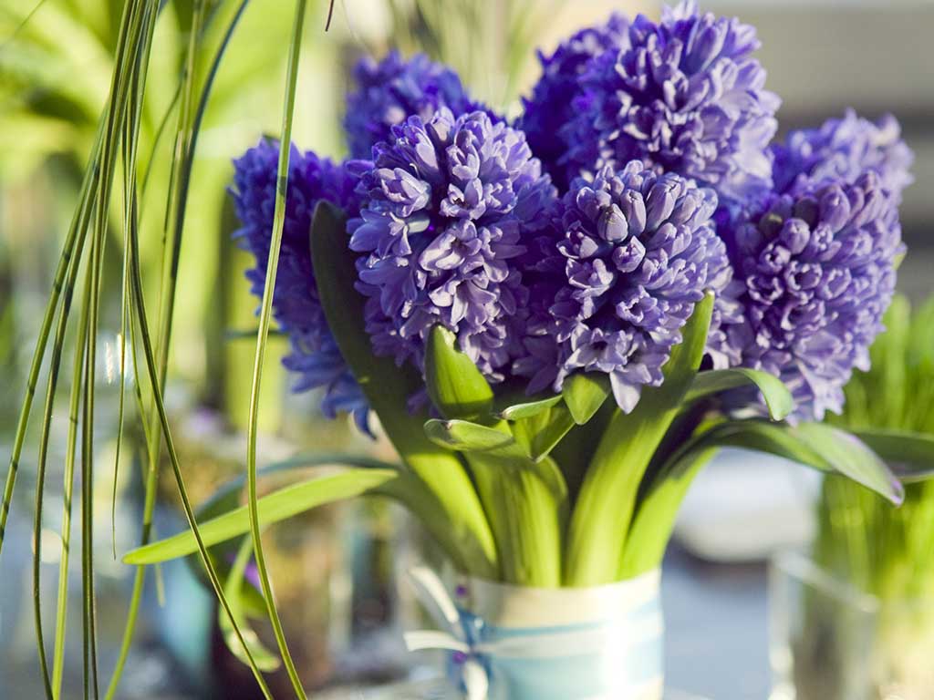 Setting Your Photo-Ready Passover Table with Tradition and Elegance