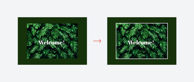 Before/after border of green leafy image that reads 