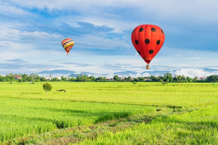 Hot Air Balloons